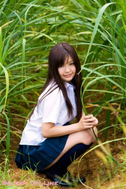 导盲犬怪谈小说